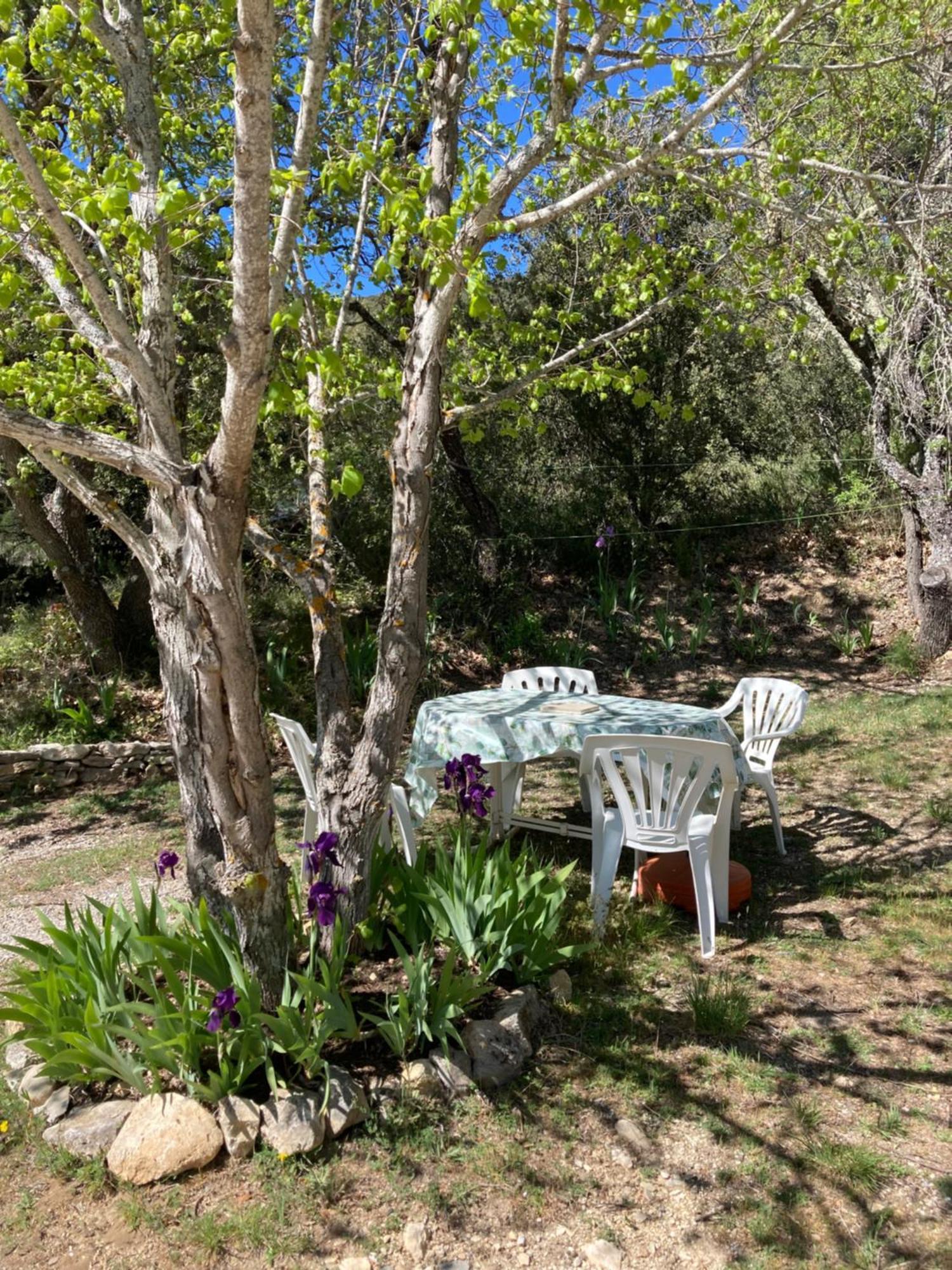 Maison Au Colorado Provencal Βίλα Rustrel Εξωτερικό φωτογραφία