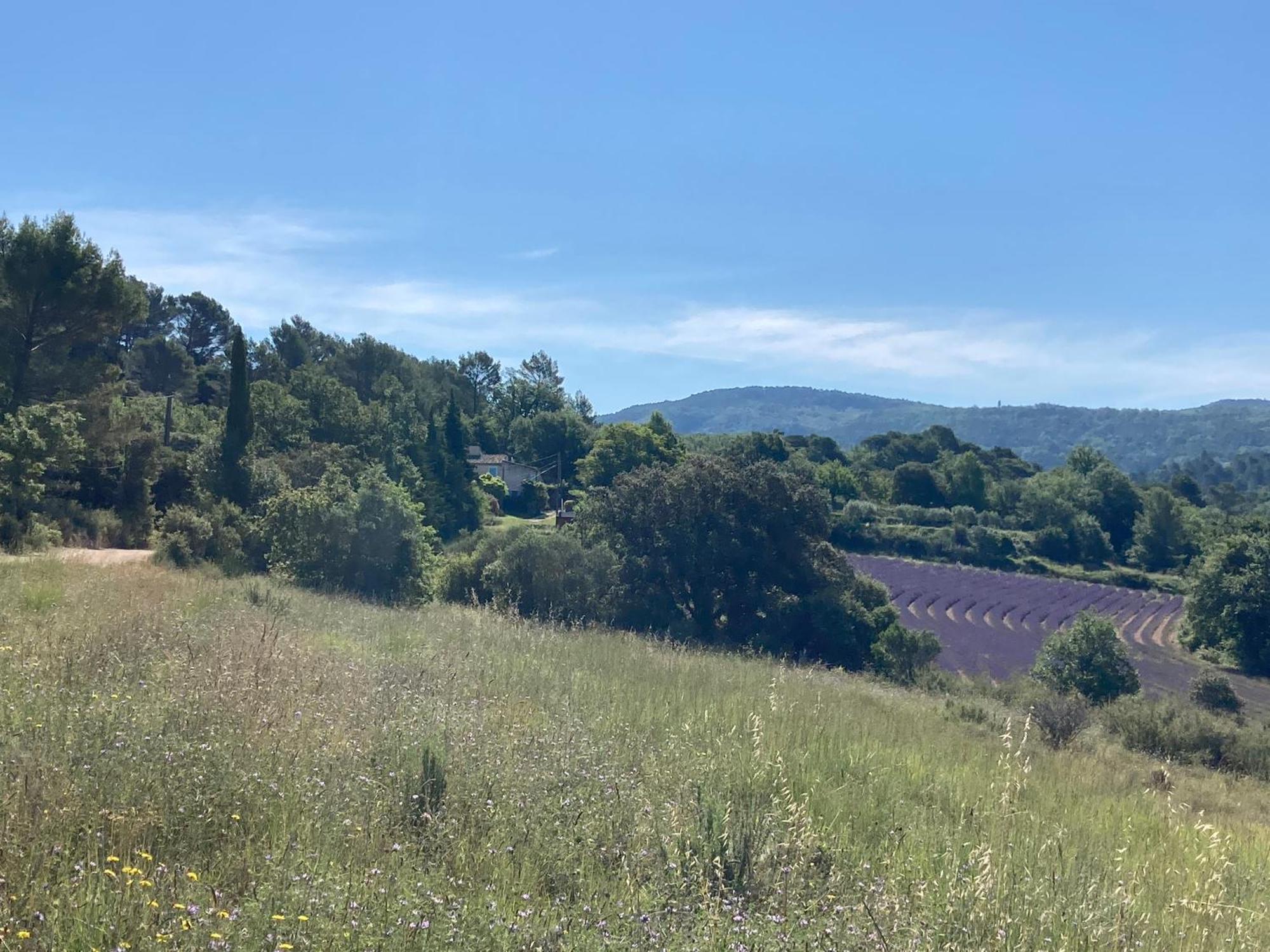 Maison Au Colorado Provencal Βίλα Rustrel Εξωτερικό φωτογραφία